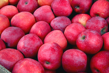 pile of red apples