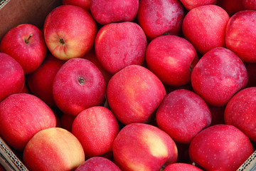 pile of red apples