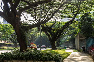 Singapore street 