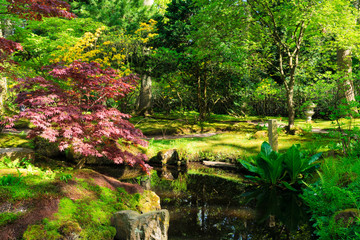 japanese garden in The Hague