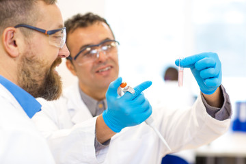 Two mature scientists collaborating for research