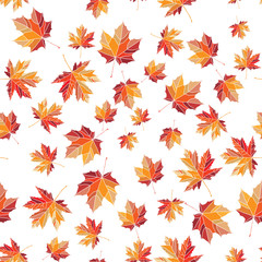 Seamless colorful maple leaf pattern. Nature texture for backgrounds and decorations.