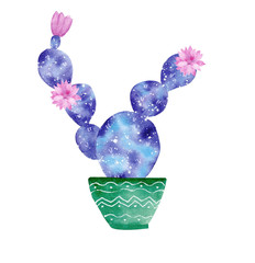 Watercolor galaxy handpainted cactus plant isolated on white background.