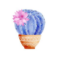 Watercolor galaxy handpainted cactus plant isolated on white background.