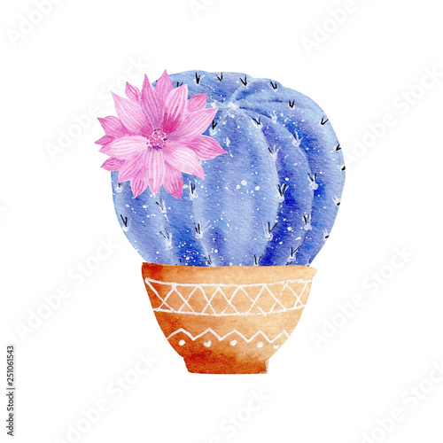 Watercolor galaxy handpainted cactus plant isolated on white background.