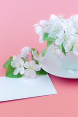 White spring apple tree blooming flowers in a cup