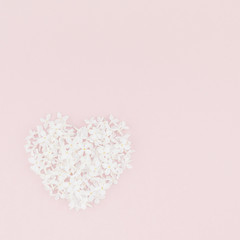 Pink background with white lilac flowers