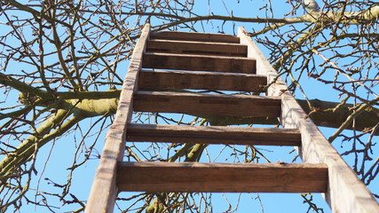 OLYMPUS DIGITAL CAMERA © Magorzata