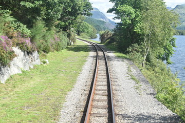 railway in the forest