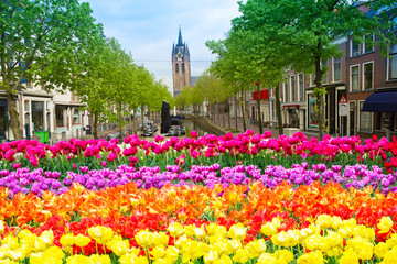 old town of Delft in spring, Holland