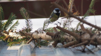 OLYMPUS DIGITAL CAMERA © Magorzata