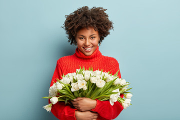 Positive glad black woman with curly hairstyle, looks happily at camera, dressed in red warm sweater, embraces wonderful bouquet of white tulips, enjoys congratulations with International Womens Day