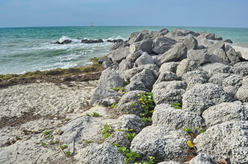 Fototapeta na wymiar Rocky Beach in Key West, Florida, USA