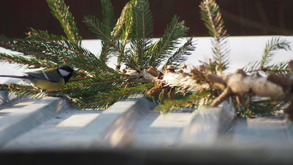 OLYMPUS DIGITAL CAMERA © Magorzata