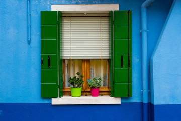 Blue wall with window and flowers on the window sill, Burano, Italy