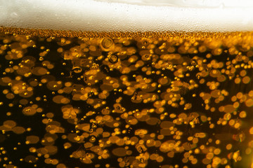  glass of beer