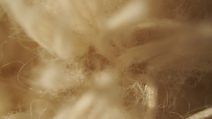 OLYMPUS DIGITAL CAMERA © Magorzata