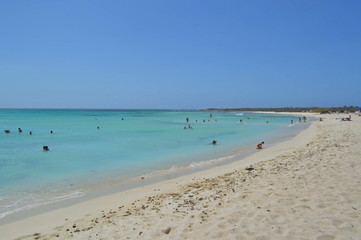 Fototapeta na wymiar Beach in Aruba
