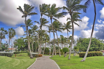 A Park in Oranjestad, Aruba