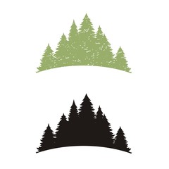 Silhouette of the forest