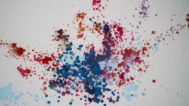 Abstract bright color background. Drops of multicolored paint isolated on white background