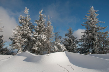 frosty day on the top of the mountain