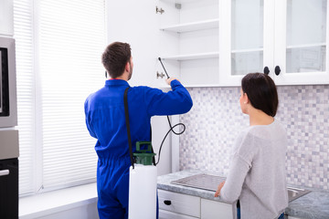 Pest Control Worker Spraying Insecticide On Shelf