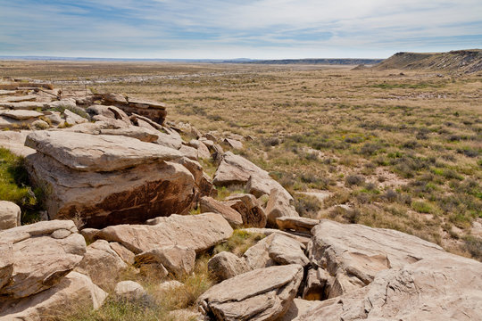Petrified Forest National Park, Arizona, USA