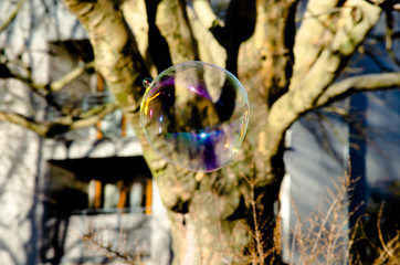 Giant flying soap bubble in city park