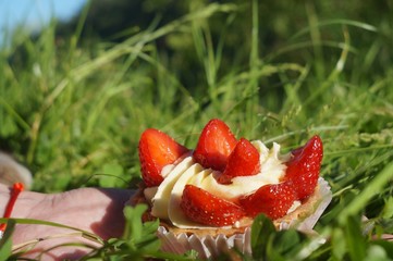 Strawberry cake with summer flowers an a cup outdoors in a garden