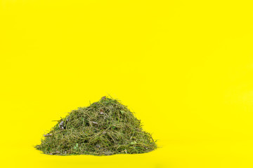 Garden Grass Cuttings in a Heap - Isolated on a Bright Yellow Background