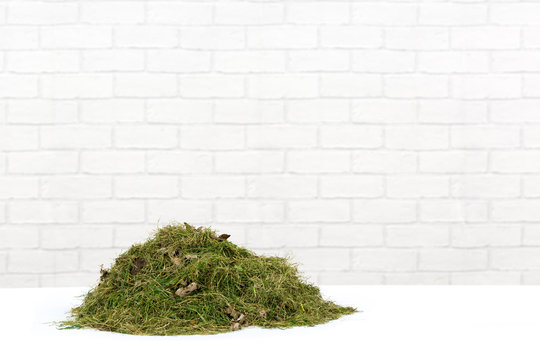 Grass Cuttings Heap on White Surface with a Modern, White Brick Background