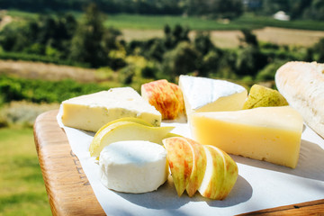 Assorted cheese platter with various cheeses on a wooden board in front of a vineyard.