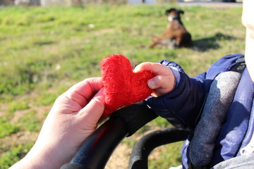 donner son coeur : greffe