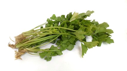 Celery on white background.