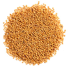 A heap of quality seeds of brown mustard, for your unique garden. Can be used for create perfect packaging with seeds on background.