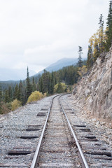 Fototapeta premium Train tracks in the wilderness