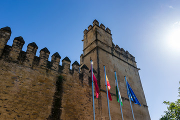 Exterior view of the Alcazar of the city of Cordoba with the institutional flags, Spain - 251082189