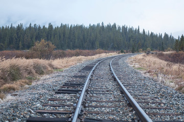 Train tracks in the wilderness