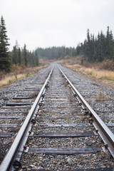 Fototapeta premium Train tracks in the wilderness