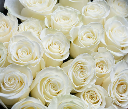 Fresh white roses bouquet flower background 