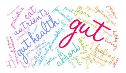 Gut word cloud on a white background. 