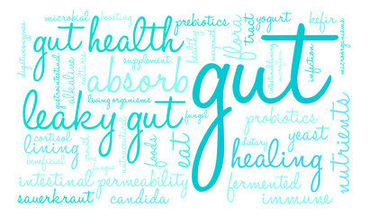 Gut Word Cloud on a white background. 