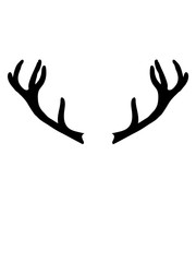 Obraz premium poroże jelenia 2 rogi głowa trofeum myśliwy strzelać jelenie las puszcza polowanie projekt domu fajne