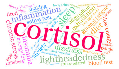 Cortisol Word Cloud on a white background. 