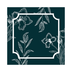 frame with plants and herbs isolated icon