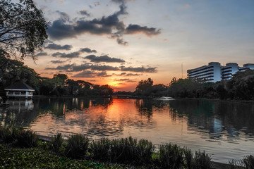 Fototapeta premium Evening in the garden