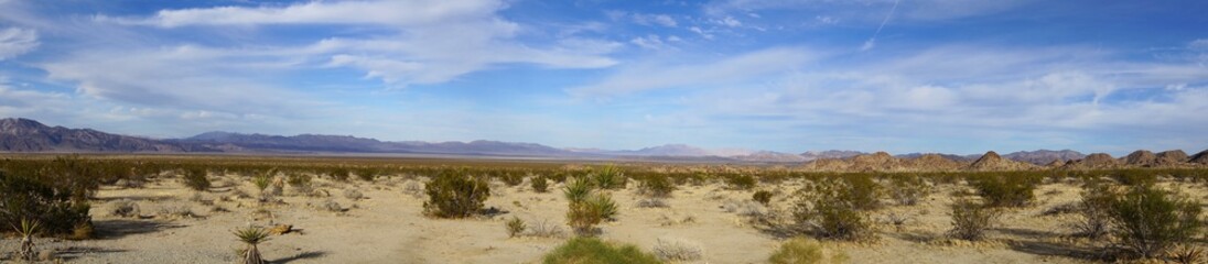 Panoramic view of Joshua Tree Nationsl Park - Mojave desert