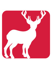 button sport schild umriss stehen comic cartoon clipart hirsch geweih 2 hörner kopf trophäe jäger schießen reh wald wildnis jagen heimat design cool