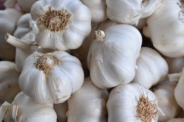 garlic on a wooden background